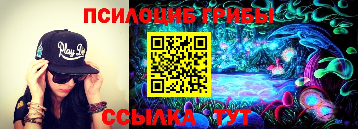 Ессентуки  Псилоцибиновые грибы прущие грибы  Вход с VPN  Галлюциногенные грибы Cubensis 