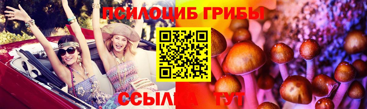 Псилоцибиновые грибы MAGIC MUSHROOMS Ессентуки